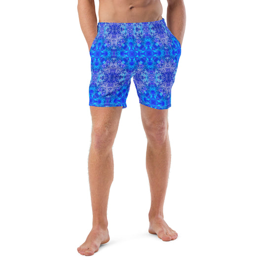 Barkley collection Men's swim trunks