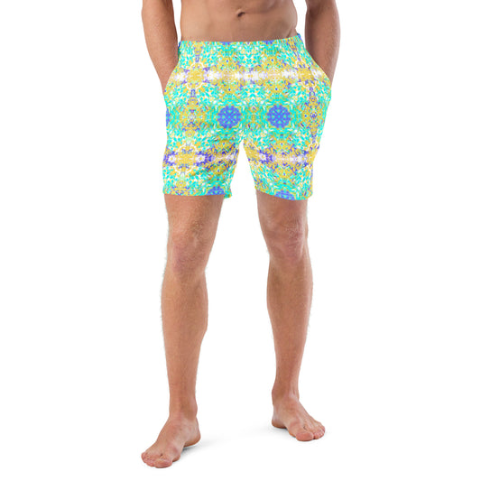 Brittney collection Men's swim trunks