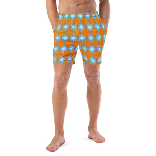 Reni collection Men's swim trunks