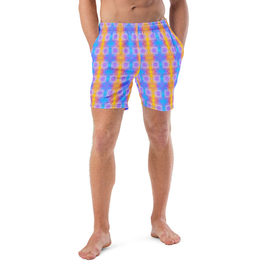 Autumn collection Men's swim trunks